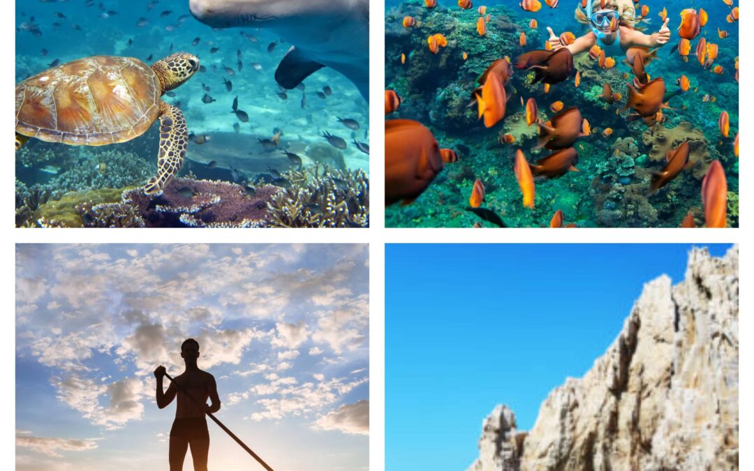 5 Ways to Have Fun on Your Private Boat Tour