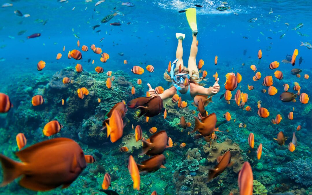 Embark on a Snorkeling Tour While in Los Cabos