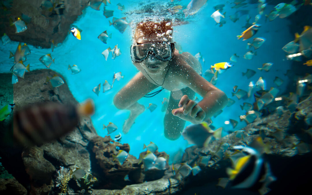 How to Snorkel Like a Pro