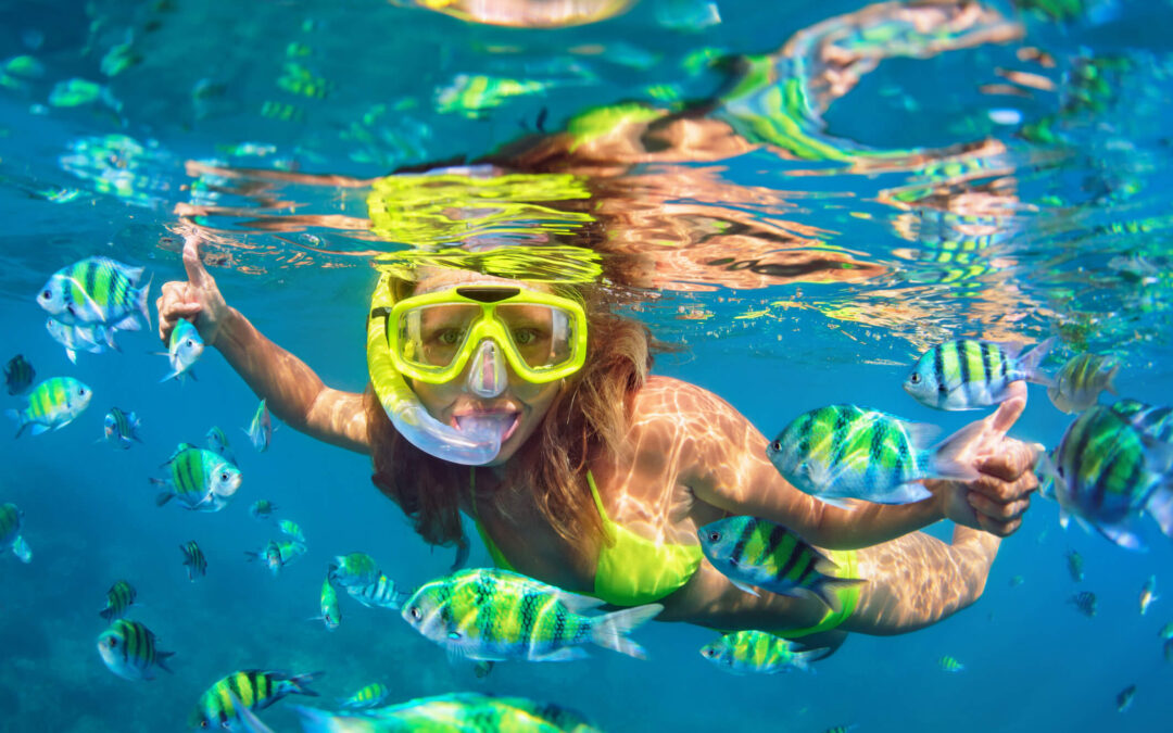 5 Reasons You Will Want to Go on a Snorkeling Tour in Cabo