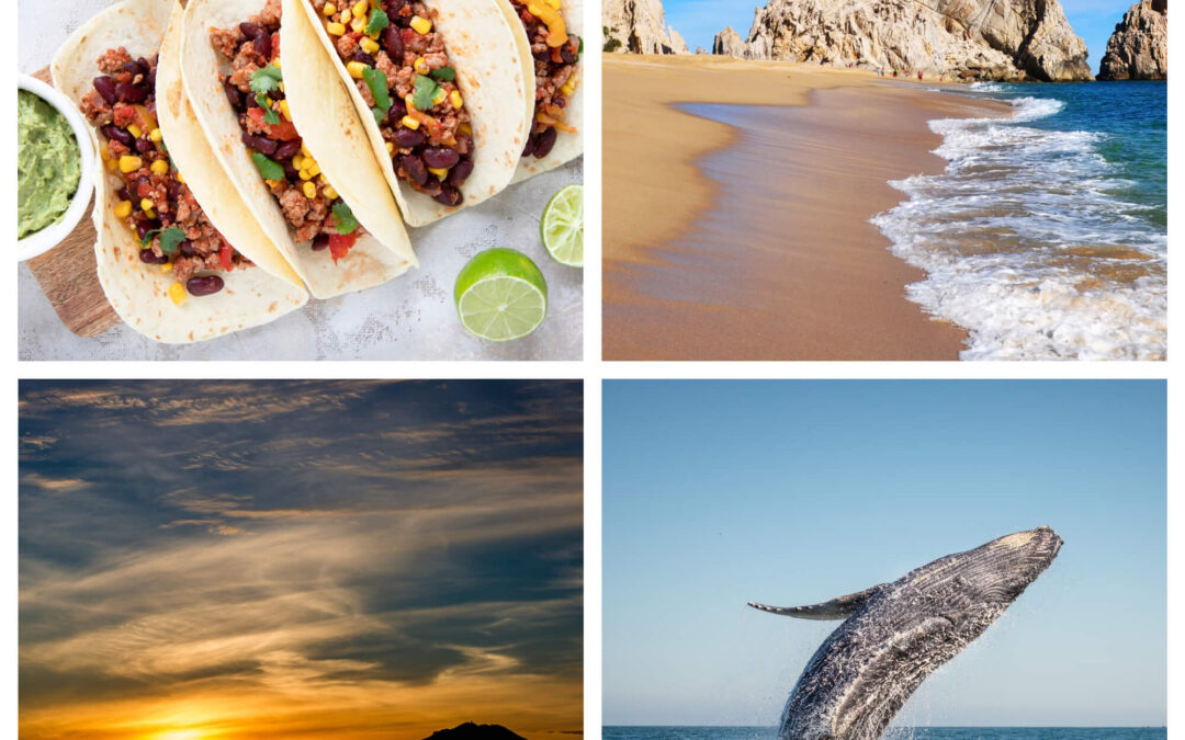 5 Things to Do While in Cabo