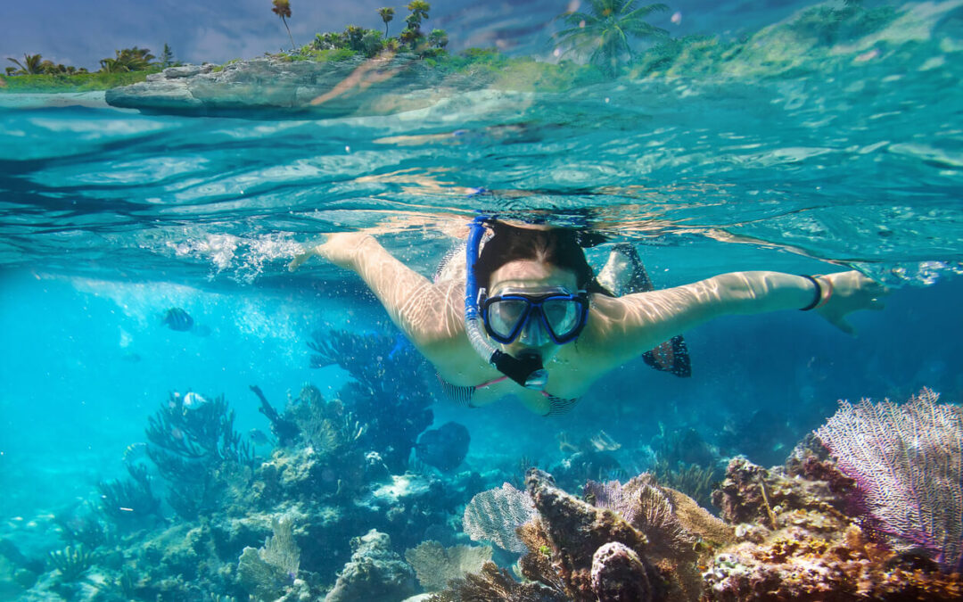 Snorkel the World’s Aquarium