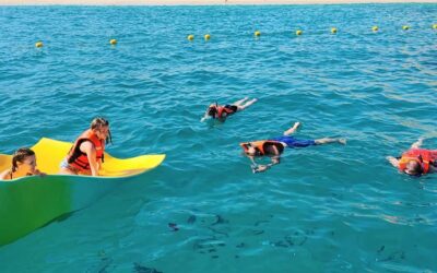 Read This Before You Snorkeling This Year