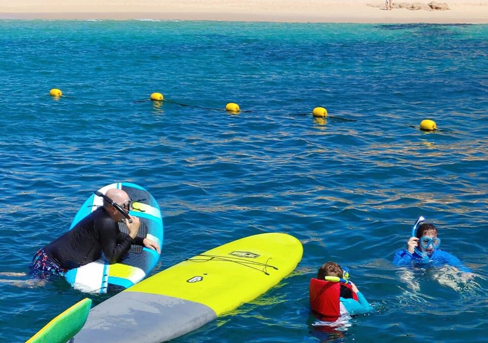 Why You Should Go Night Snorkeling
