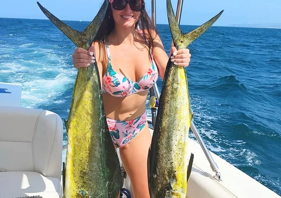 The Top Excursions That Tourists Embark On in Cabo