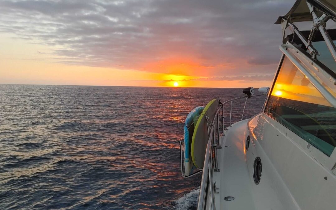 What Is the Best Way to Experience Cabo’s Marine Life?