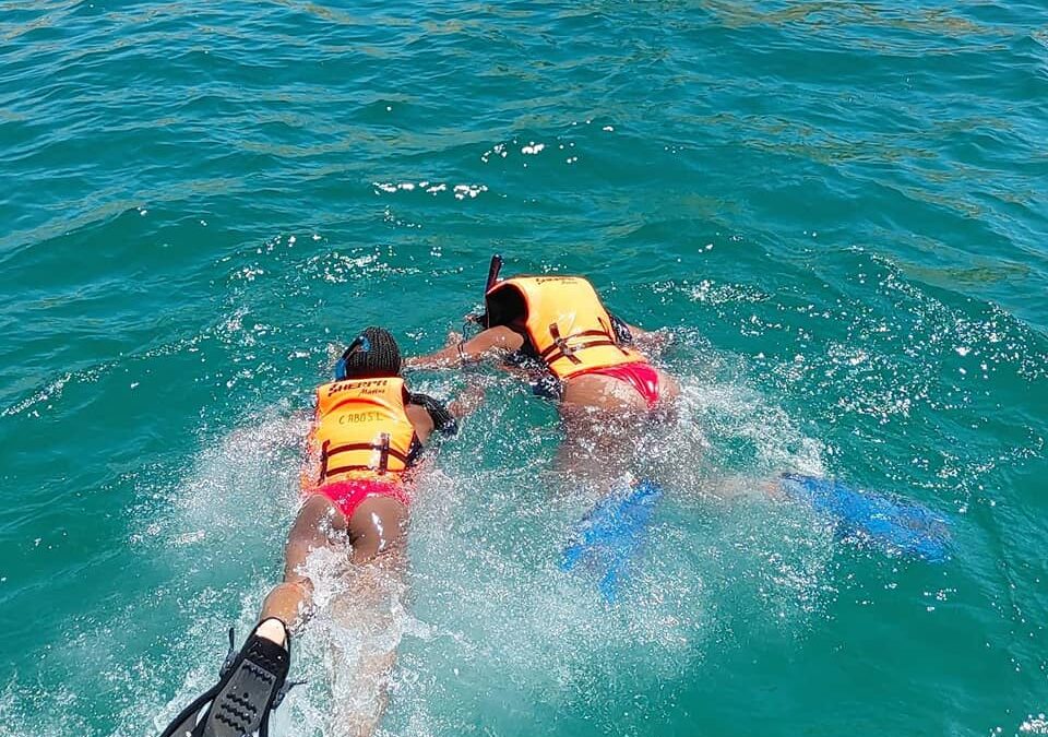 Plan a Fun Day Out in the Waters of Cabo With Your Family