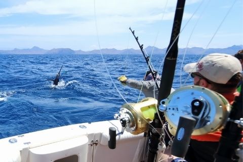 The Benefits of Pleasure Deep-Sea Fishing