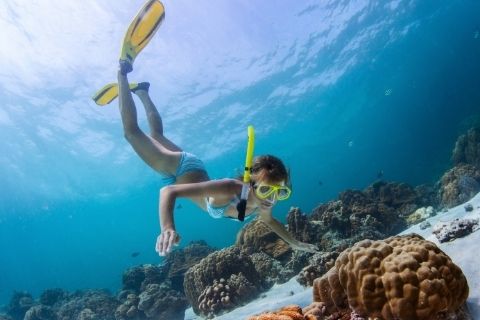 Quick Guide to Snorkeling Safety for Beginners