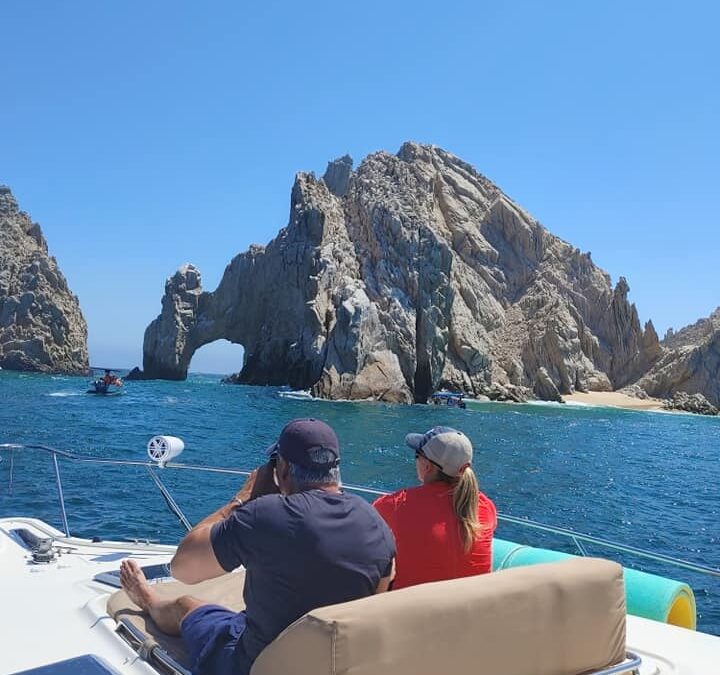 Never Been Whale Watching Before