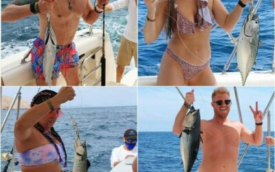 Discover the Wonders of Marine Life