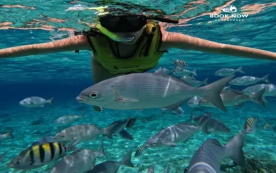 Explore the Underwater World: A Guide to Snorkeling Adventures