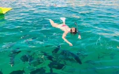 Exploring Top Snorkeling Spots by Rented Boat