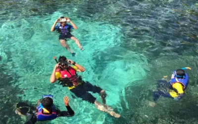 How to Choose the Right Snorkeling Spot With a Boat Rental