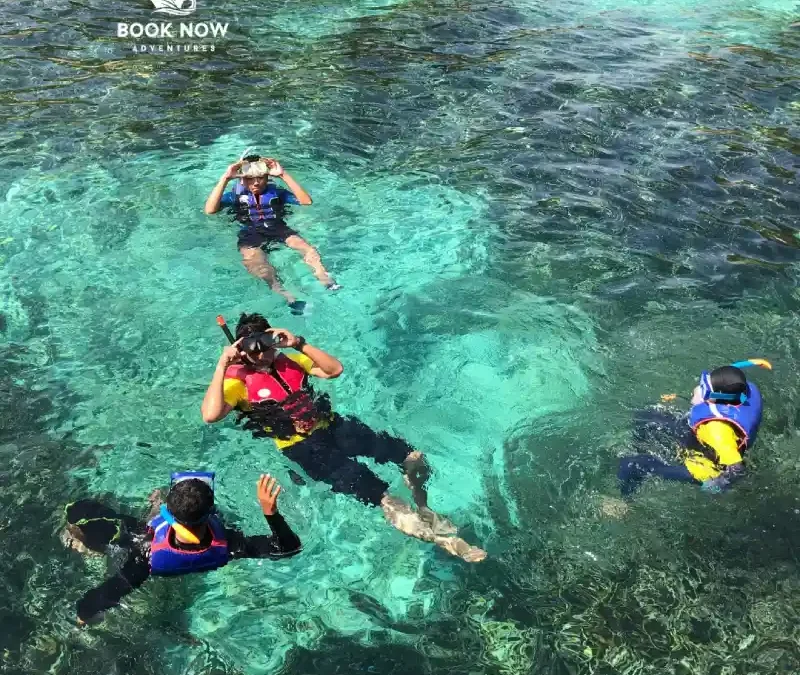 How to Choose the Right Snorkeling Spot With a Boat Rental