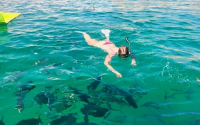 Overcoming Snorkeling Anxieties With Expert Boat Rental Support