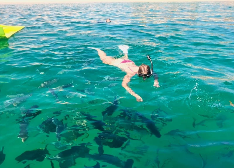 Snorkeling