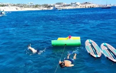 Explore Snorkeling Safety Tips While Renting a Boat